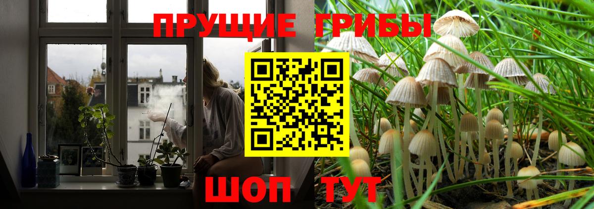 Галлюциногенные грибы Psilocybe  Вход с VPN  цена   Камень-на-Оби 