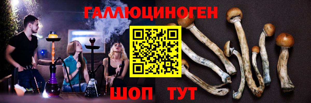 Галлюциногенные грибы GOLDEN TEACHER Камень-на-Оби